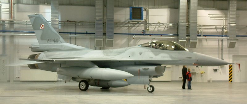 Polonia moviliza sus aviones ante ofensiva rusa en Ucrania