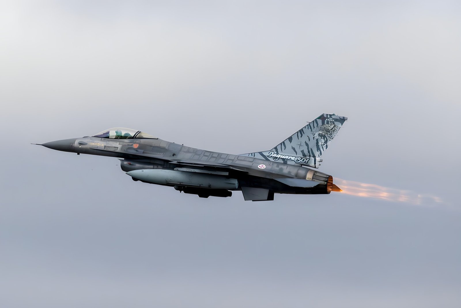 Portugal asume rotación de Policía Aérea del Báltico